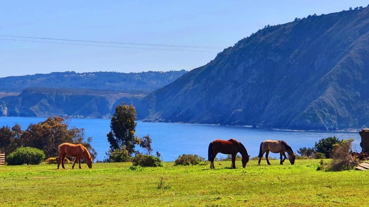 Cabaña en Tunquén, bosque, piscina y vista al mar Esterno foto