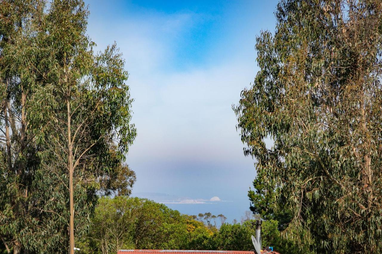 Cabaña en Tunquén, bosque, piscina y vista al mar Esterno foto